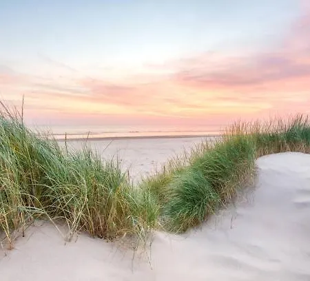 228 Alpehytte Petten